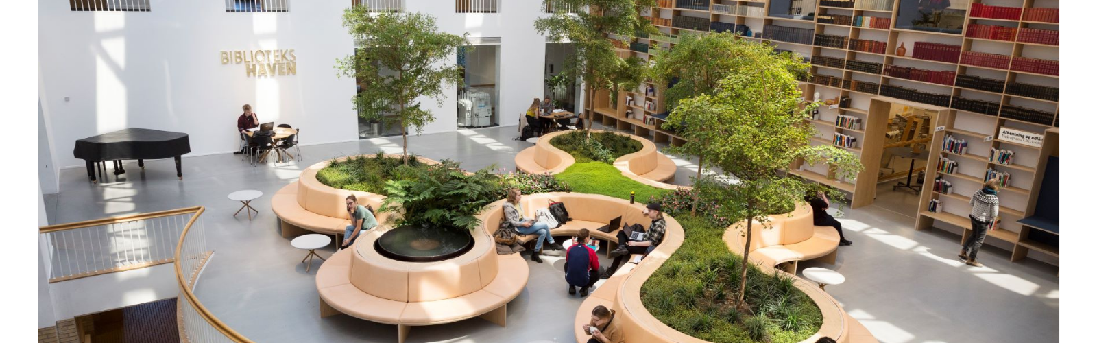 Aarhus university library with study spaces and greenery. Students are gathered in the middle of the space.